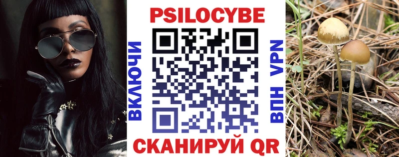 кракен ONION  Заволжск  Галлюциногенные грибы мицелий 